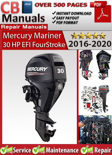 Mercury 30 HP 4-Stroke EFI Outboard 2016–2020 repair manual PDF – Includes EFI diagnostics, electrical schematics, maintenance charts, and troubleshooting procedures.