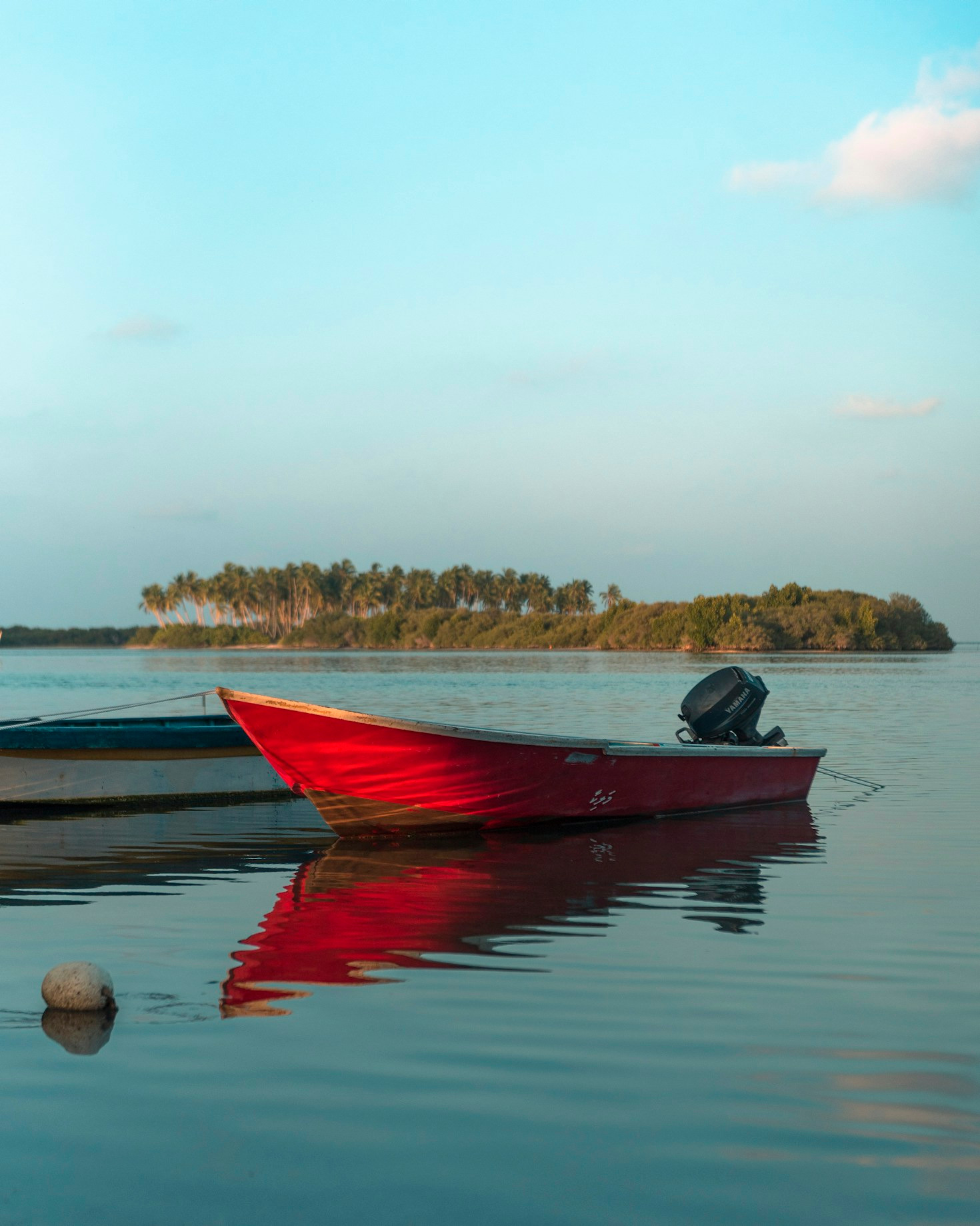 Suzuki Outboard Maintenance: Pro Tips for Longevity